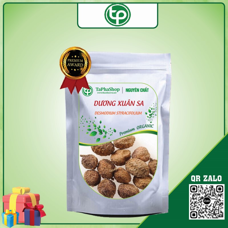 Dương xuân sa chữa men gan cao