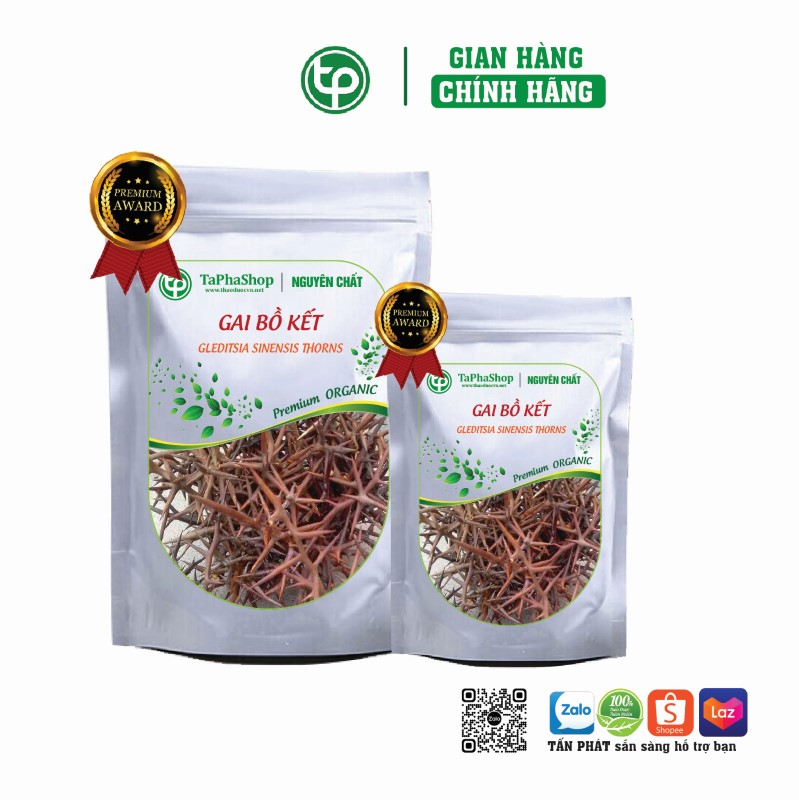 Gai bồ kết chữa ho lâu ngày