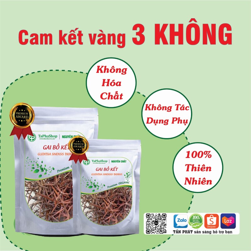 Gai bồ kết hỗ trợ điều trị ho lâu ngày