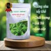 Giới thiệu sản phẩm hương nhu của Thảo Dược Tấn Phát