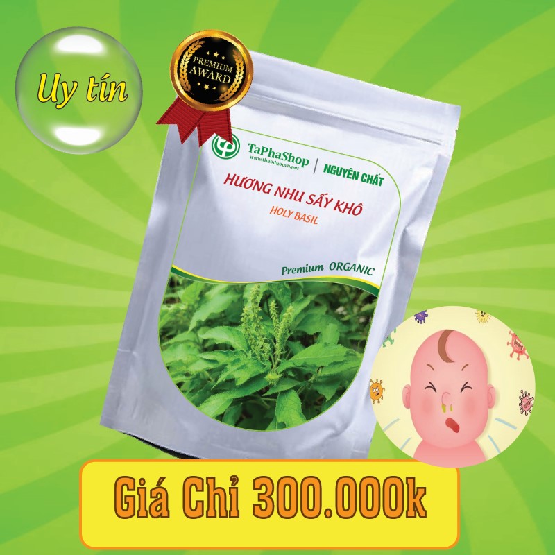 Công dụng của hương nhu với sức khỏe