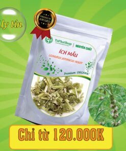 Công dụng của ích mẫu trong việc hỗ trợ rối loạn kinh nguyệt