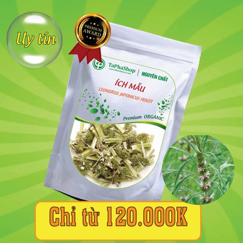 Công dụng của ích mẫu trong việc hỗ trợ rối loạn kinh nguyệt