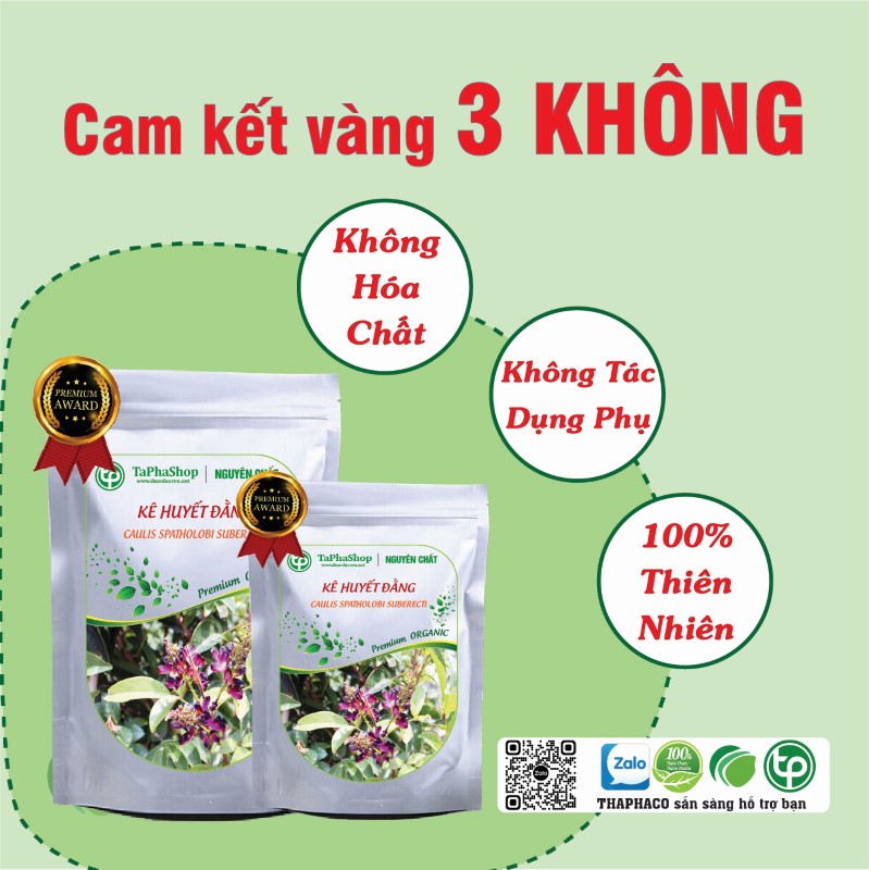 Kê huyết đằng hỗ trợ điều trị suy nhược cơ thể