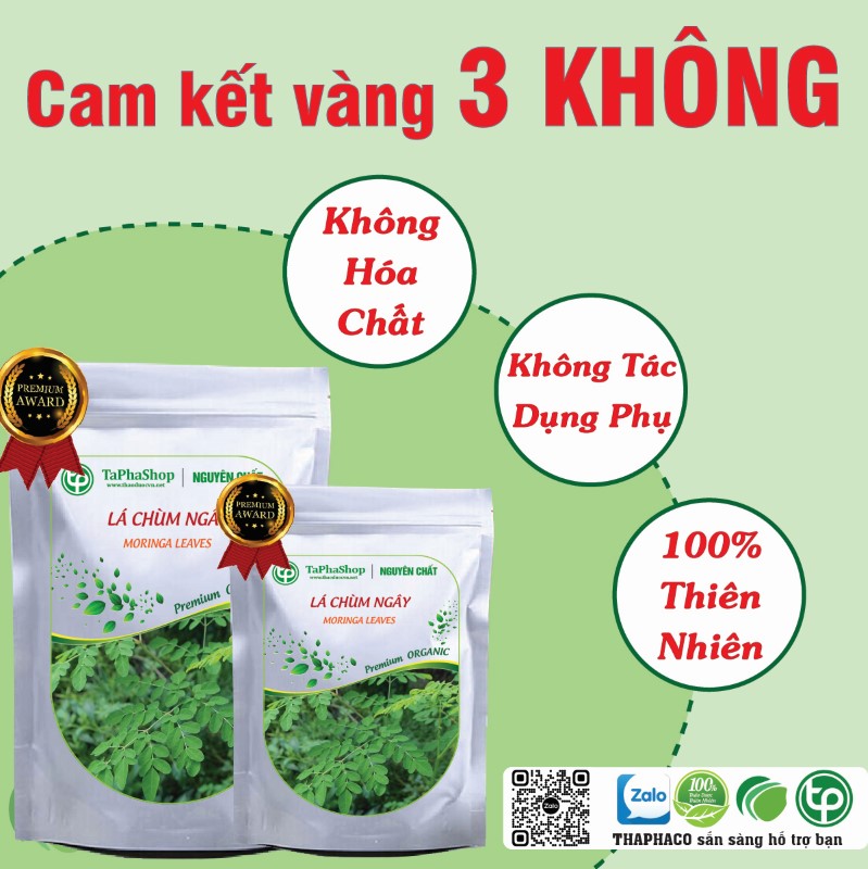 Lá chùm ngây hỗ trợ điều trị cao huyết áp