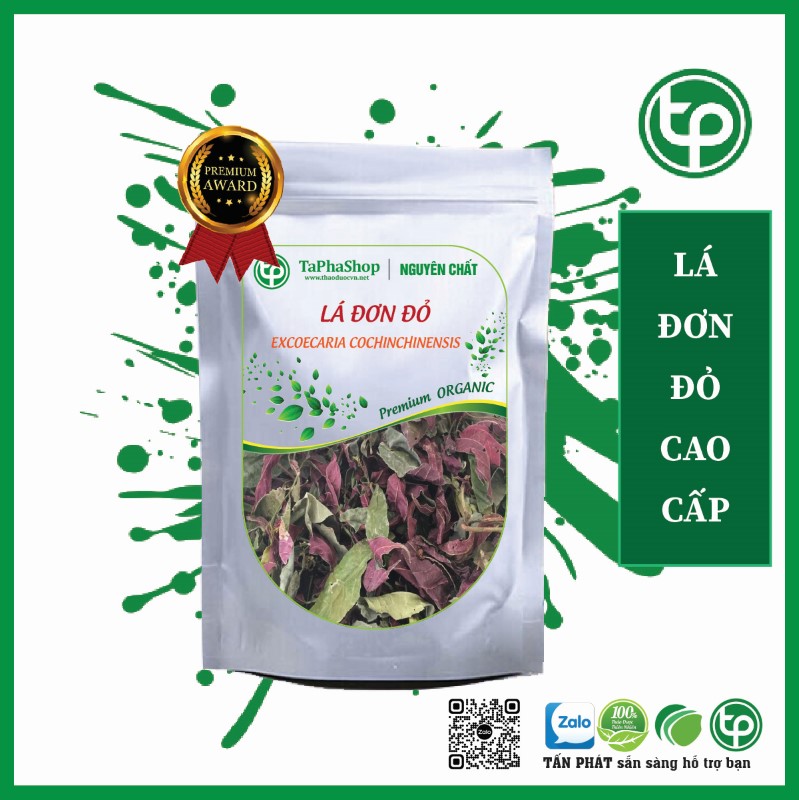 Lá đơn đỏ chữa bệnh gout