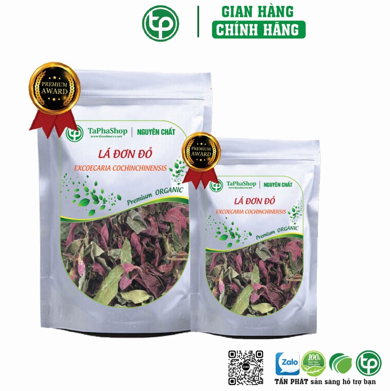 Lá đơn đỏ hỗ trợ điều trị bệnh gout