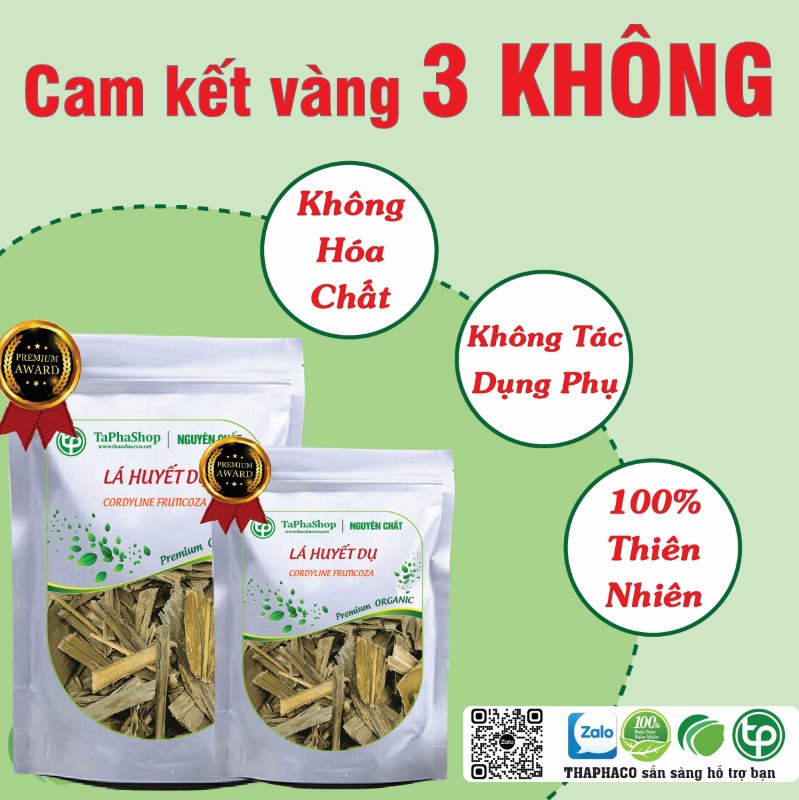 Lá huyết dụ hỗ trợ điều trị thiếu máu