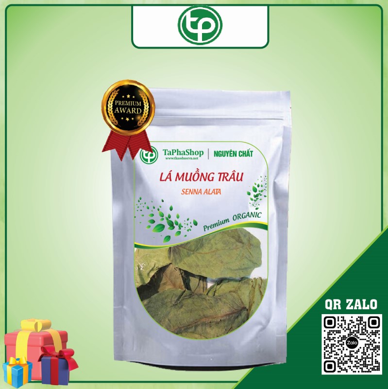 Lá muồng trâu chữa viêm da