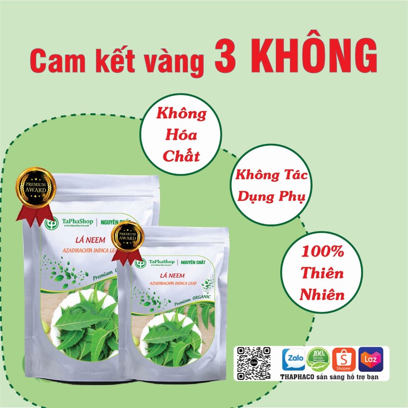 Lá neem hỗ trợ điều trị huyết áp cao