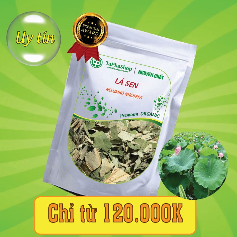 Công dụng nổi bật của lá sen trong hỗ trợ điều trị béo phì