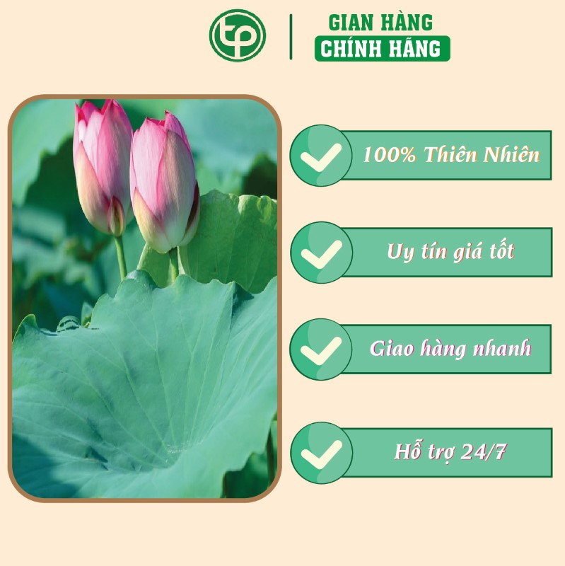 Lá sen hỗ trợ điều trị mỡ máu cao