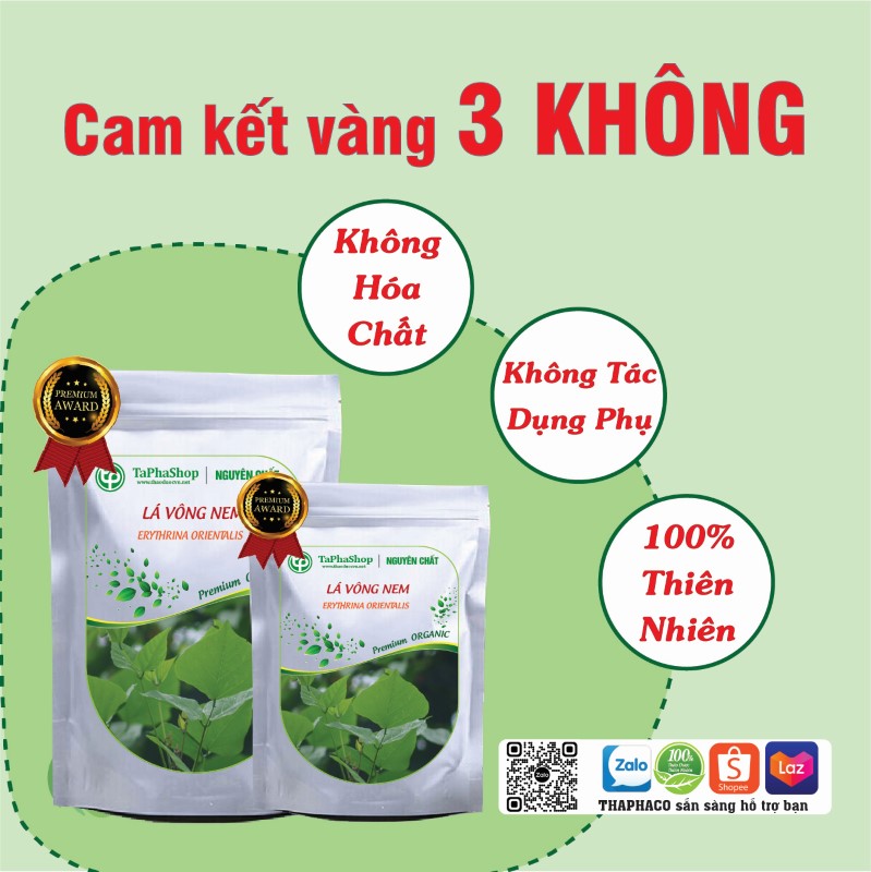 Lá vông nem chữa đau đầu