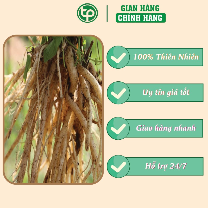 Lộ đẳng sâm chữa thiếu máu