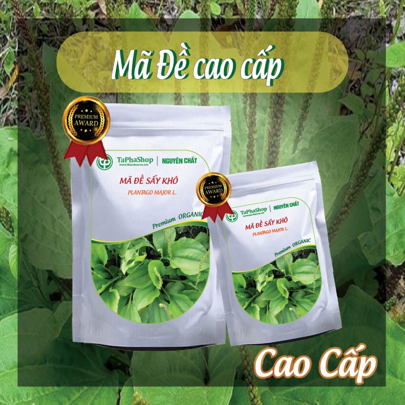 Hướng dẫn sử dụng cây mã đề hỗ trợ điều trị viêm đường tiết niệu