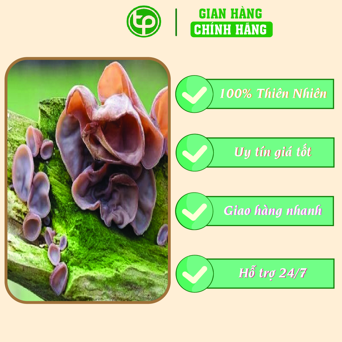 Mộc nhĩ rừng điều trị tiểu đường