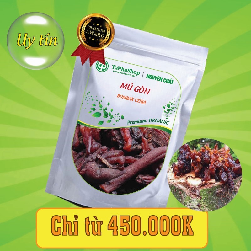 Công dụng y khoa của mủ gòn đối với giấc ngủ