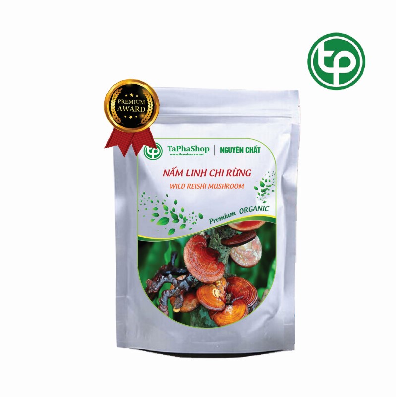 Cách sử dụng nấm linh chi rừng hỗ trợ điều trị gan nhiễm mỡ