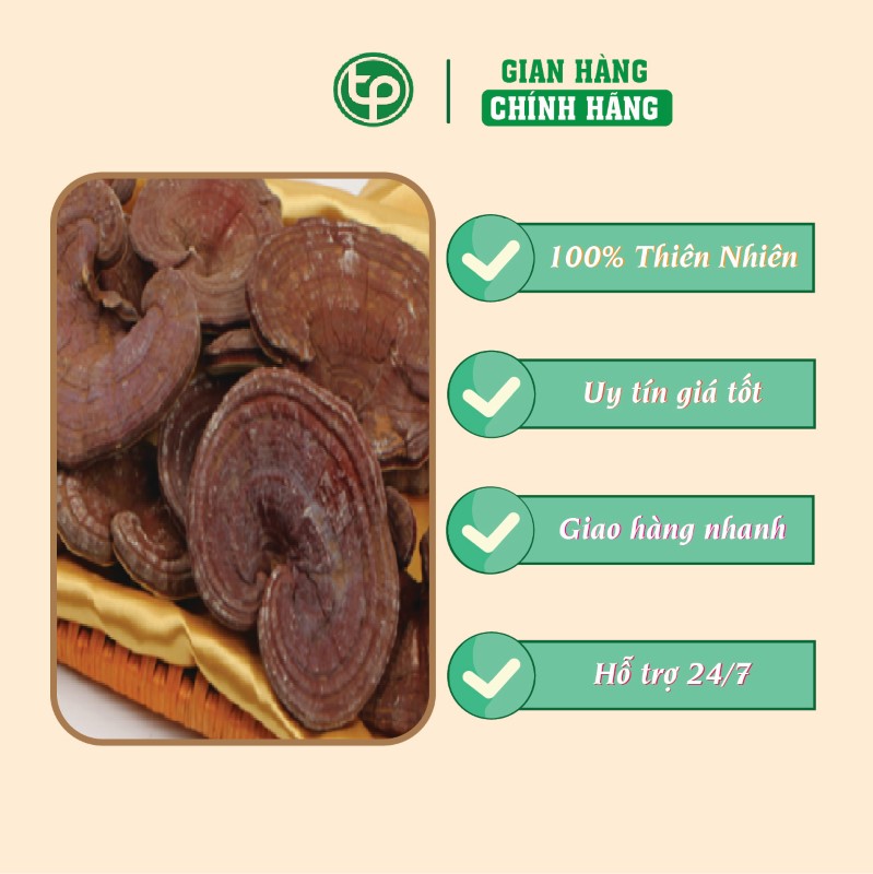 Công dụng y khoa của nấm linh chi rừng