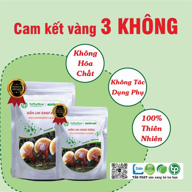 Nấm linh xanh rừng chữa tiểu đường