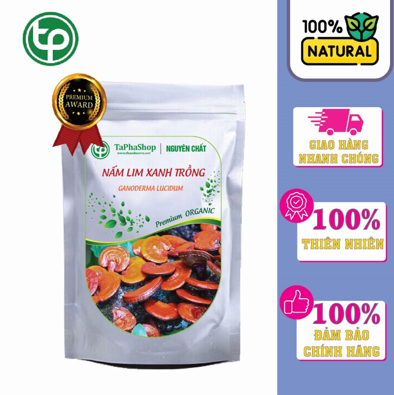 Giới thiệu nấm lim xanh trồng tại Thảo Dược Tấn Phát