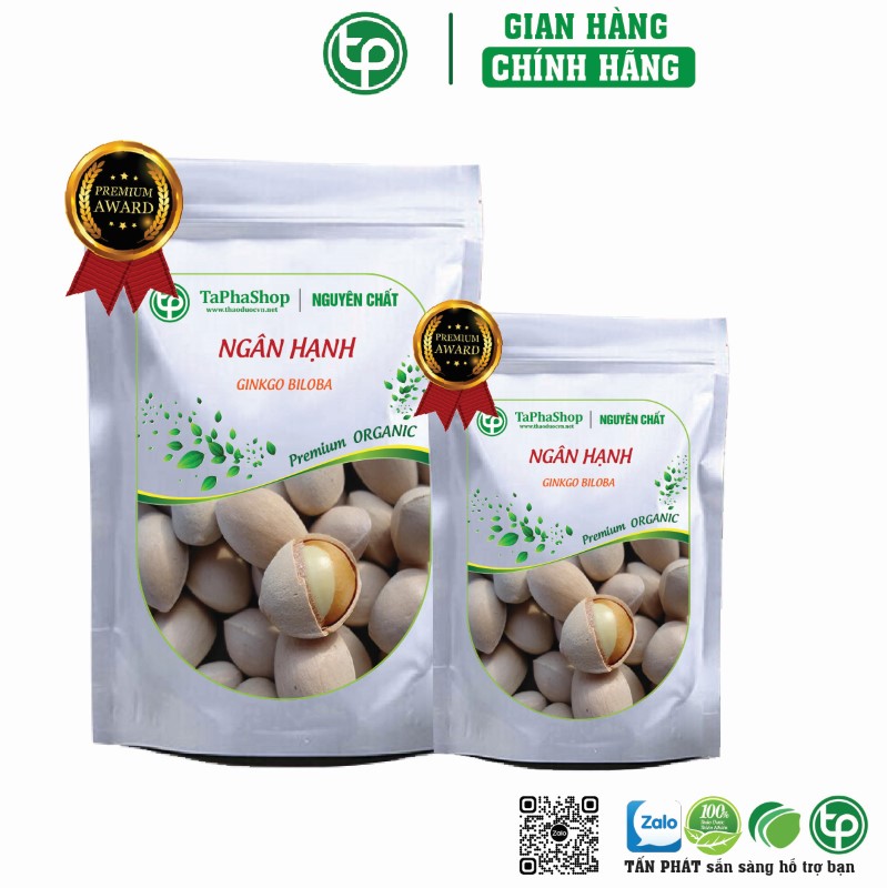 Ngân hạnh hỗ trợ điều trị sa sút trí tuệ