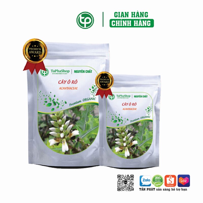 Cây ô rô điều trị men gan cao