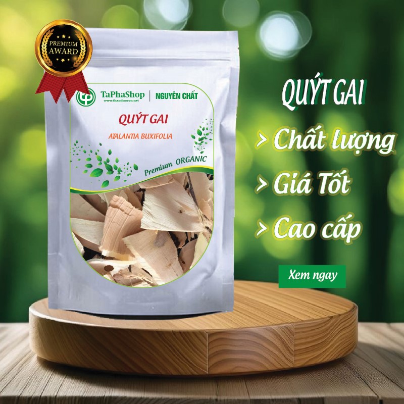 Giới thiệu quýt gai của Thảo Dược Tấn Phát