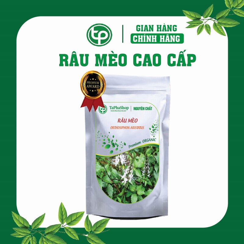 Râu mèo hỗ trợ điều trị phù thũng
