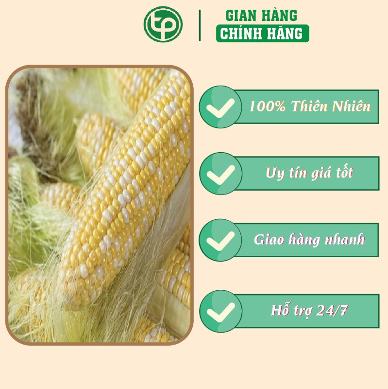 Công dụng y khoa của râu ngô với bệnh tiểu đường