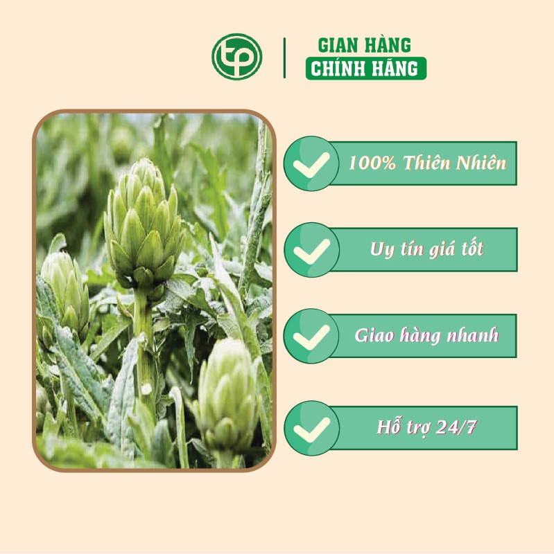 Công dụng khoa học của rễ cây atiso trong hỗ trợ điều trị men gan cao