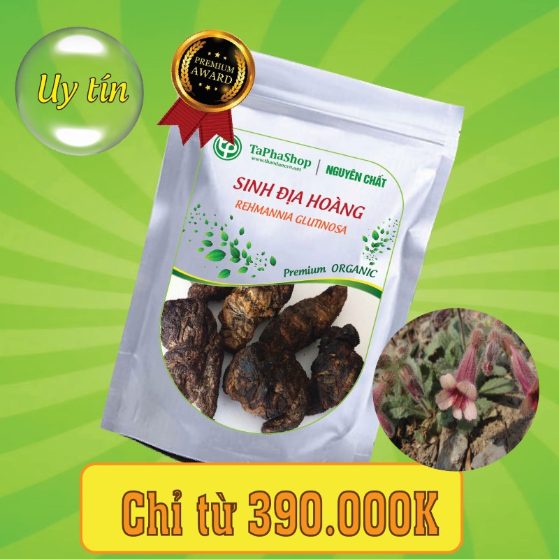 Công dụng của Sinh Địa Hoàng trong hỗ trợ điều trị thiếu máu