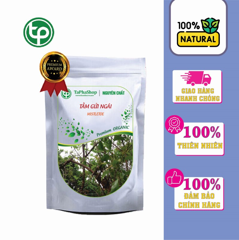 Giới thiệu về tầm gửi ngái tại Thảo Dược Tấn Phát