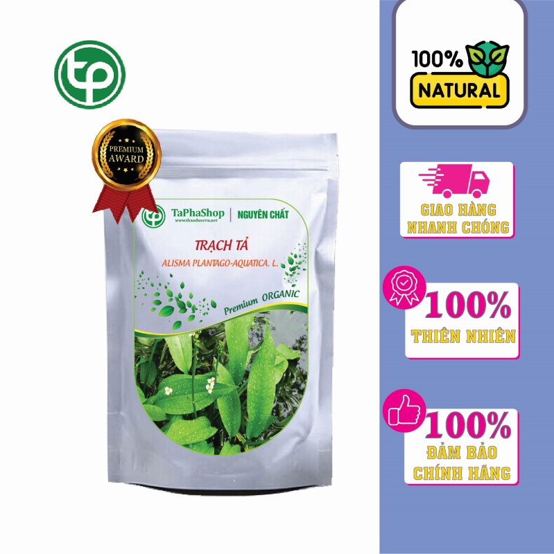 Trạch tả hỗ trợ điều trị viêm đường tiết niệu Tấn Phát