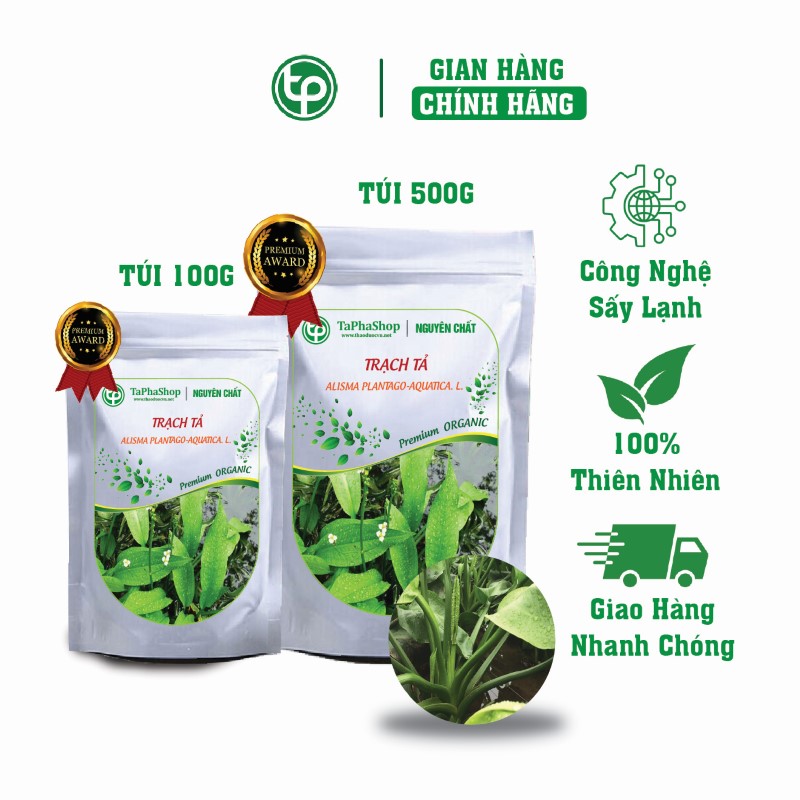 trach taArtboard 4@2x-100