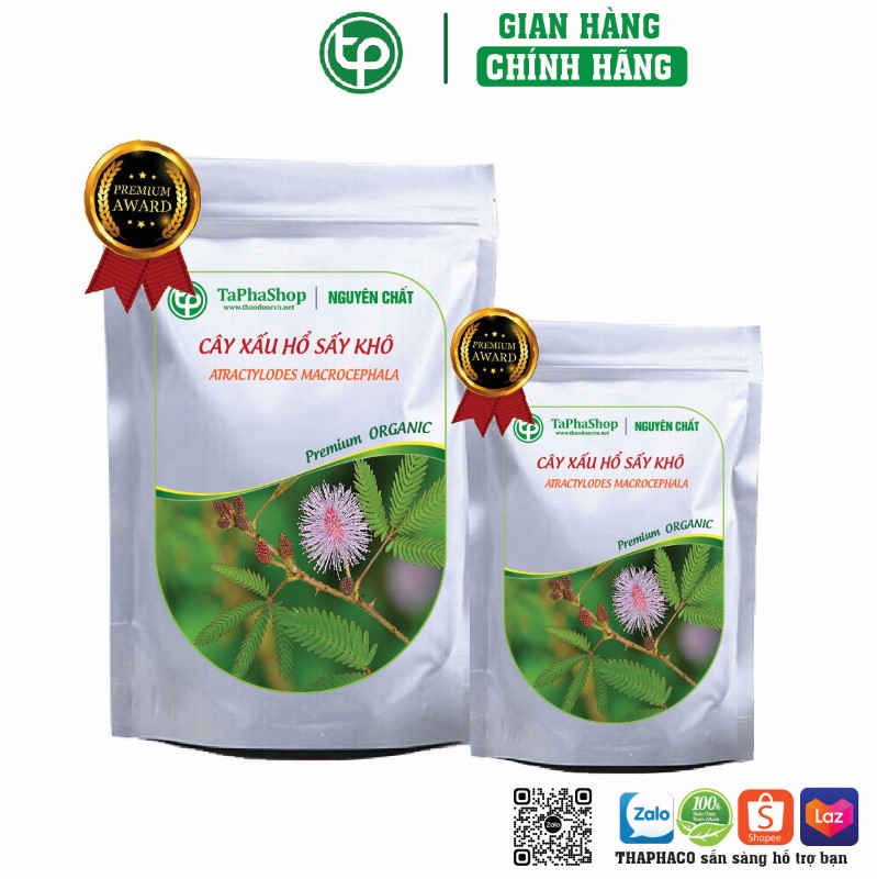 Cây xấu hỗ chữa suy nhược thần kinh