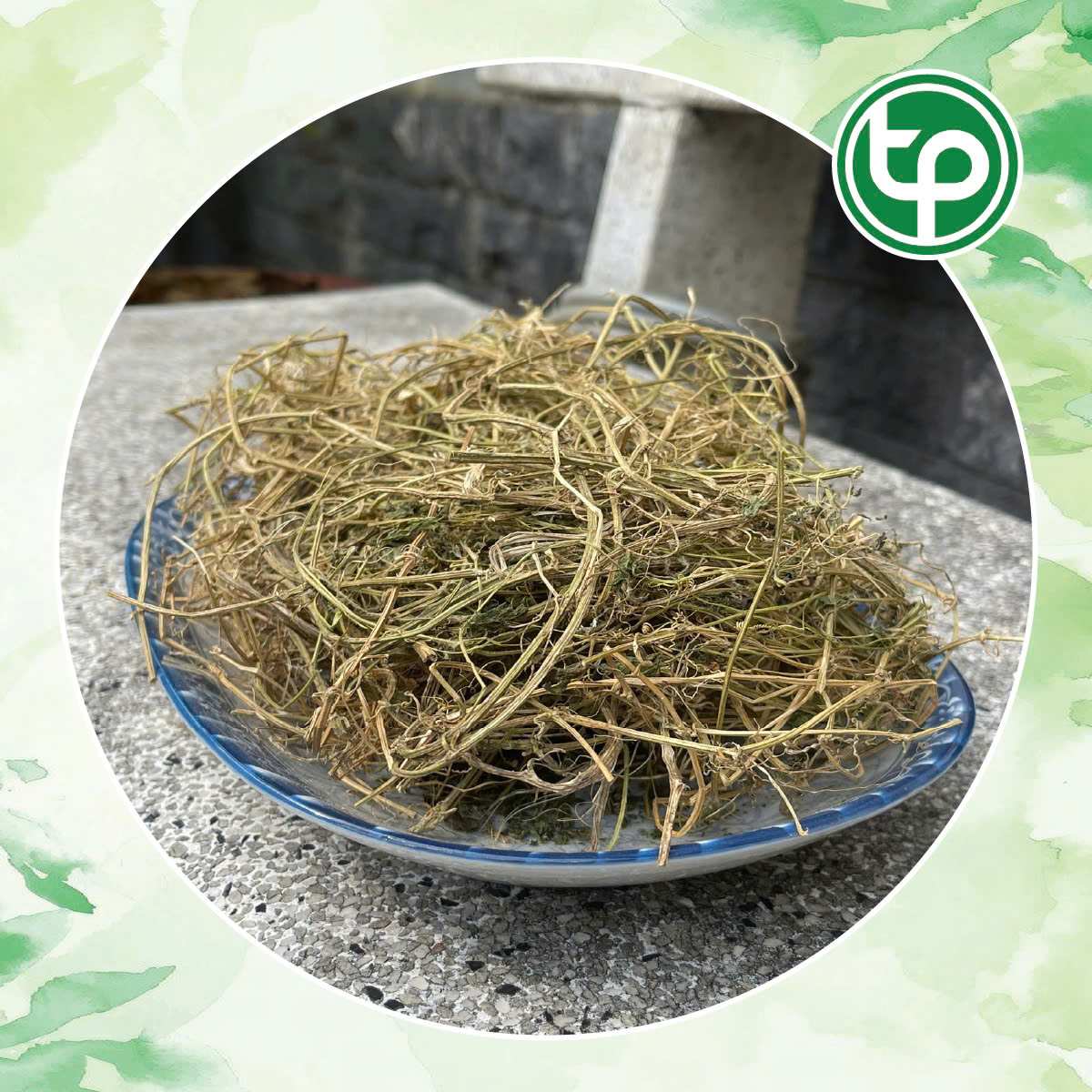 Dây khổ qua rừng chất lượng cao