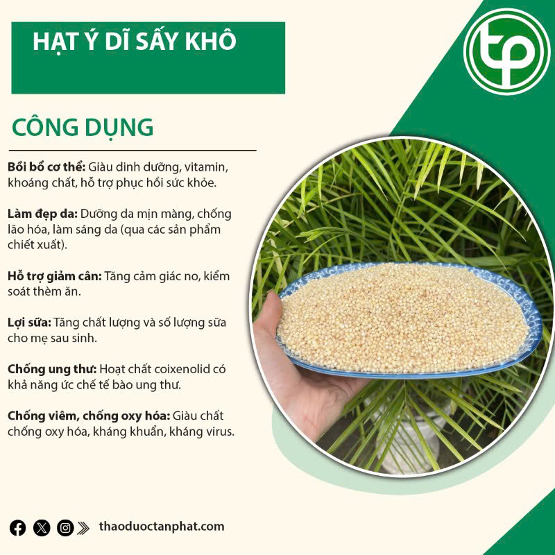 Tác dụng của ý dĩ khô