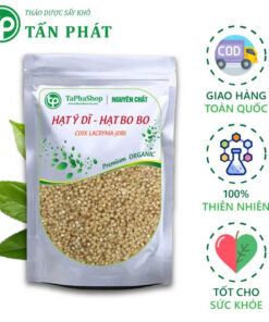 Mua Bán Sỉ Lẻ Hạt Ý Dĩ  Xuất Khẩu Tại HCM?