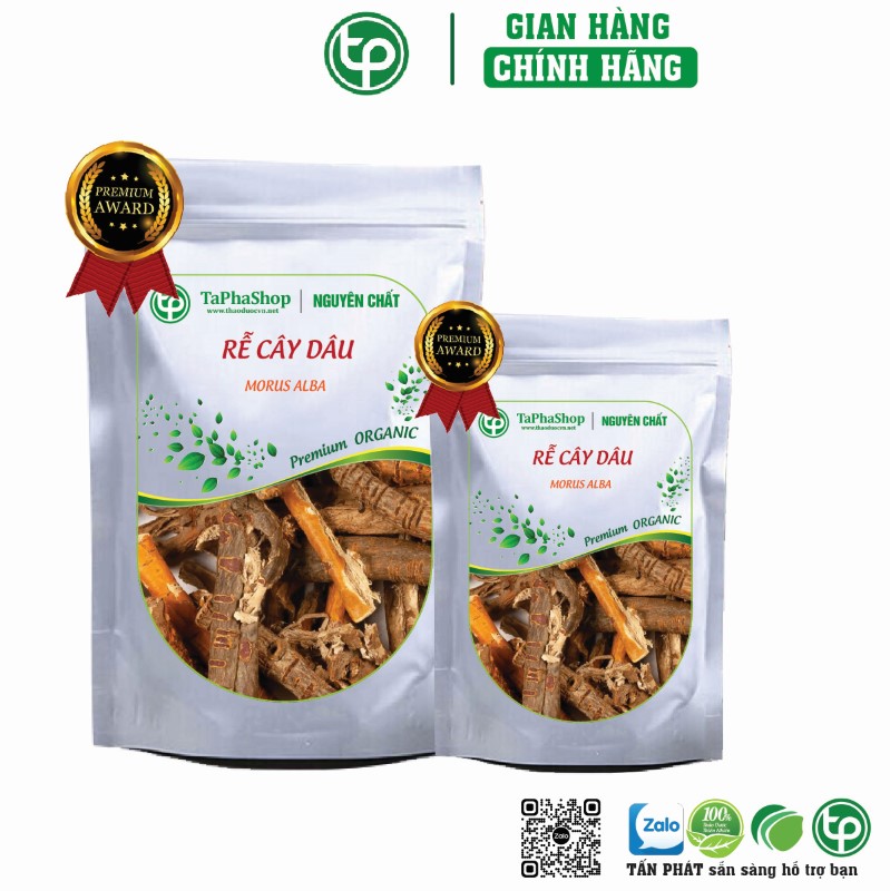 Rễ cây dâu hỗ trợ điều trị phong thấp