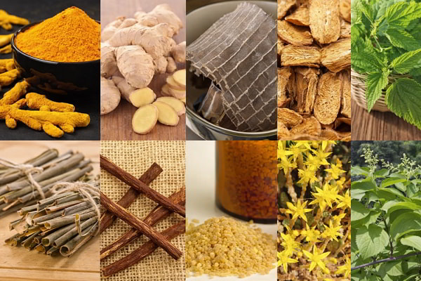 Nhận biết thảo mộc xông lưu huỳnh