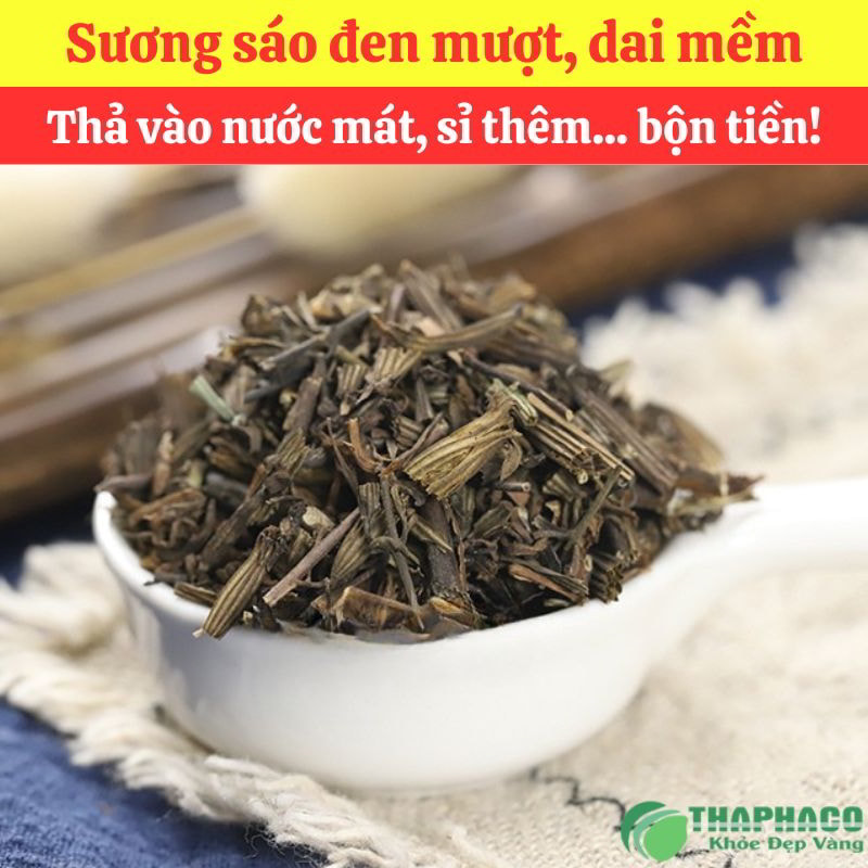 Sỉ sương sáo tại TP.HCM