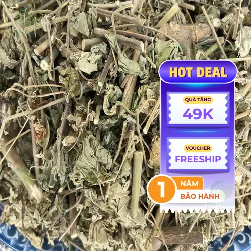 Hình ảnh tổng quan cây cối xay - nguồn dược liệu quý giá