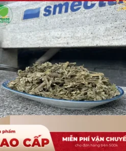 Địa chỉ bán cây cối xay sấy khô tại TP.HCM uy tín, chất lượng