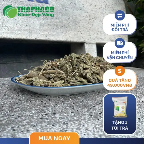 Cách sử dụng cây cối xay sấy khô đúng cách