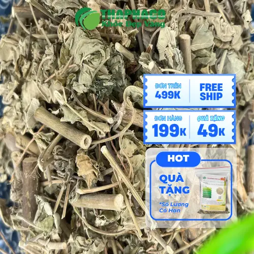 Thảo Dược Tấn Phát HCM - Địa chỉ tin cậy mua cây cối xay
