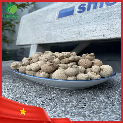 Hình ảnh củ tam thất nam tươi nguyên củ chất lượng cao từ Thảo Dược Tấn Phát HCM