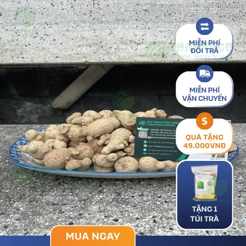 Củ tam thất nam đã được sơ chế và cắt lát sẵn sàng sử dụng