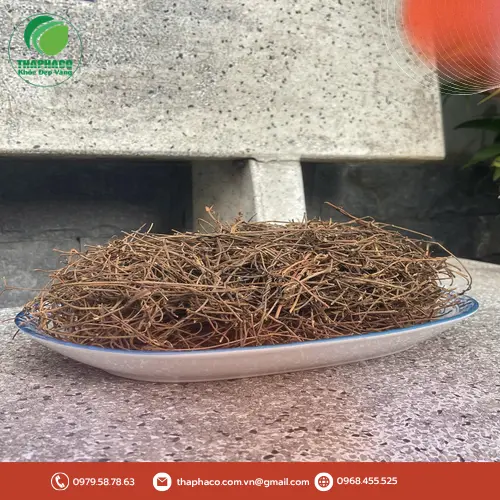 Dây tơ hồng - thảo dược tự nhiên