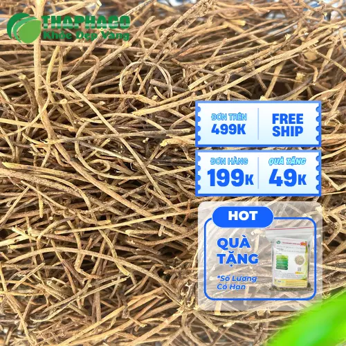 Dây tơ hồng khô sạch